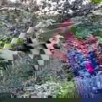 Phontiwa Banpaluk profile icon