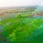 ที่ดิน บ้านพร้อมที่ดิน profile icon