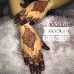 Nur Shazila profile icon