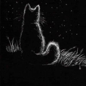 Yiemu Blank profile icon