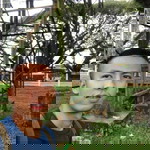 ประวิทย์ ดิสโร profile icon