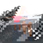 Reazell Aguda profile icon