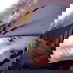 Novia Zahroh profile icon