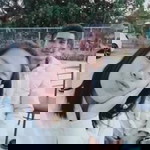 Sawitree Meesup profile icon