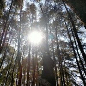 Mira Nirmala profile icon