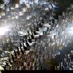 Mira Nirmala profile icon