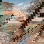 Em Aemamon Sutsaijai profile icon