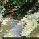 Kannika Prompan profile icon