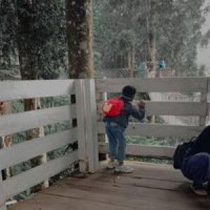 Ariesca Watiie profile icon