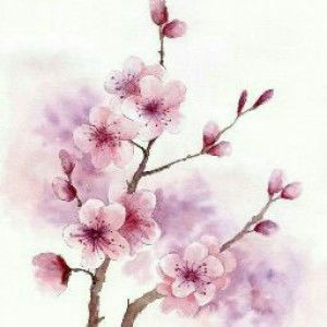 Yushifa Ayu Laksita profile icon