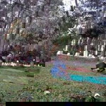 NaRti Silitonga profile icon