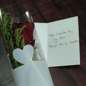 Julia Mato profile icon