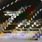 Nam'Fah Wannipa profile icon