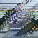 Putri Balqis profile icon