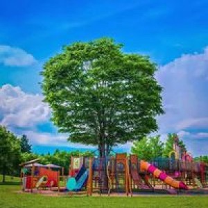 Dwi Ulfah profile icon