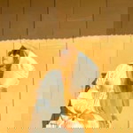 Daruni Daramae profile icon