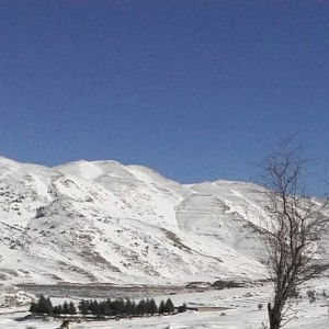 Nur Aqilah profile icon