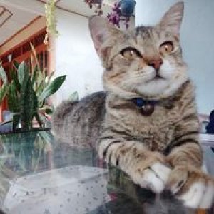 Kenzie Putri profile icon