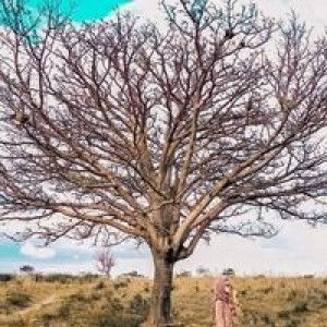 Baiq Aryn Mustika Pratiwi profile icon