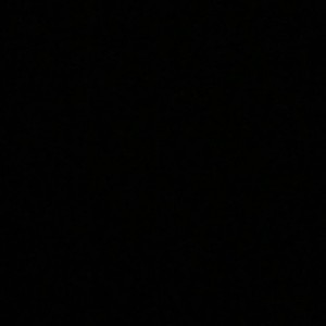 Fatimah Puspitasari profile icon