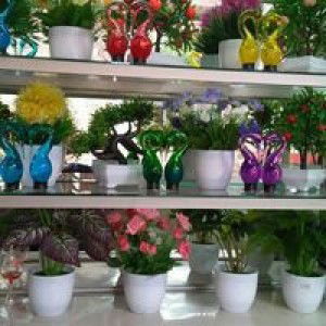 Nuri Kiswah profile icon