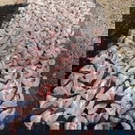 Plakem Plakem profile icon