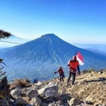Sekar Tanjung profile icon