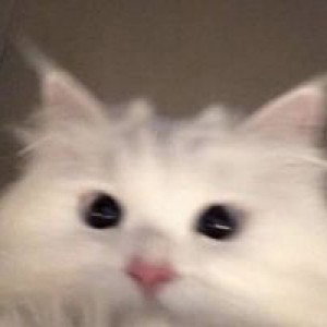 ฐิติพร หาญยิ่ง profile icon
