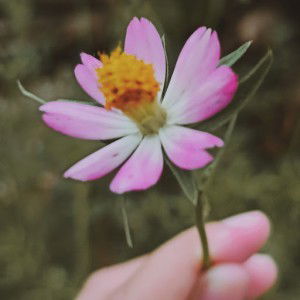 Binti Zulaikah profile icon