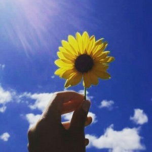 tasya anggraini putri profile icon