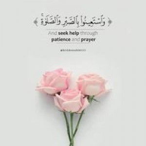 Nuraina Pelipe profile icon