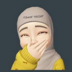 Nawar Nasser profile icon