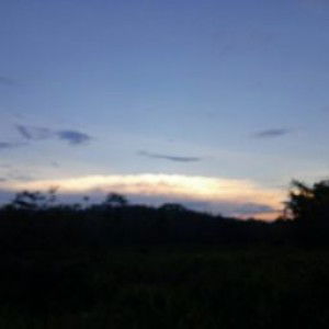 Ema Juliarti profile icon