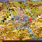 น้ำตาลคนเดิม พระนครกรุงเก่า profile icon