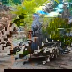 Evi Novianti profile icon