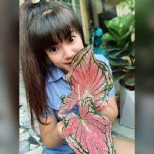 Jibjib Tanida profile icon