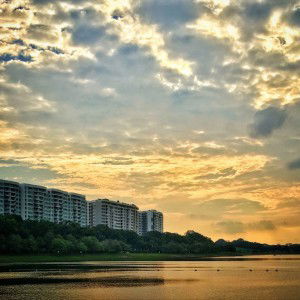 Zaiwei Chen profile icon