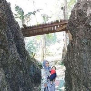 Momy Vayoo profile icon