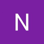 Nur Hanees profile icon