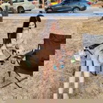 รัชฎาภรณ์ อนุกูล profile icon