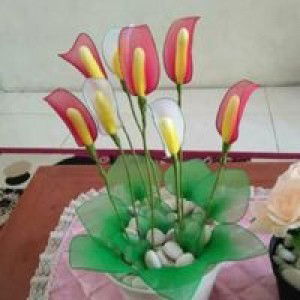 Aulia S M profile icon