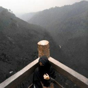 Debi Oktora profile icon