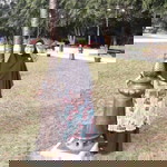 Sriani Suciati profile icon