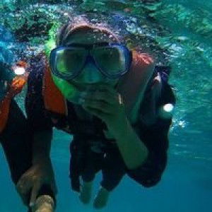 Nurlaelaa profile icon