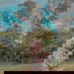 Shieyla Hasilaa profile icon