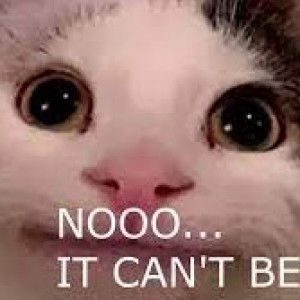 VIIA Gail profile icon