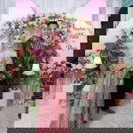 Syafitri profile icon