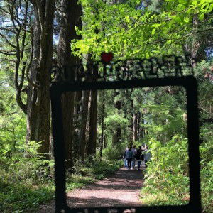 Mas(brg masukkan dlm peti surat tq) profile icon