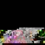 Vira Permata profile icon