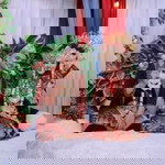 Windi Mandela profile icon